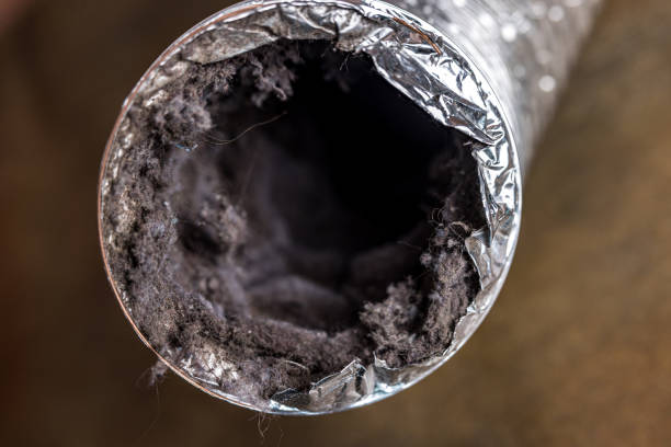Best Air Duct Cleaning Near Me  in Walker, LA